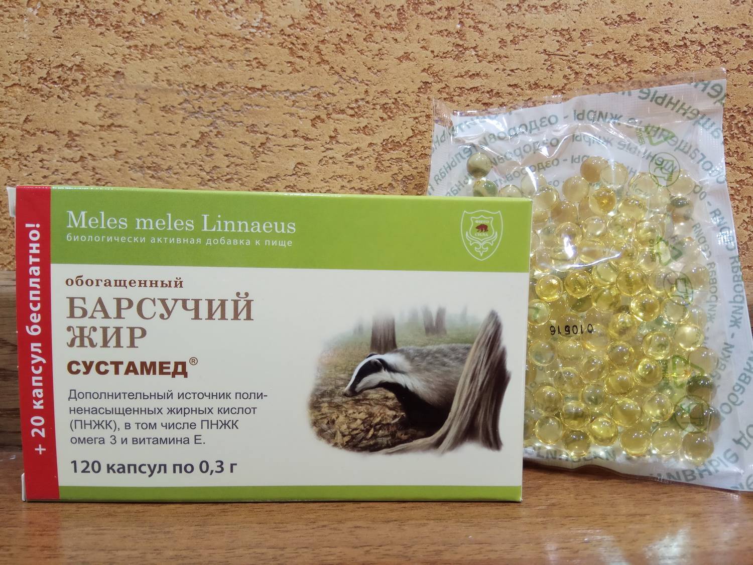 Медвежий жир и барсучий жир: сравнение, лечебные свойства, способы применения