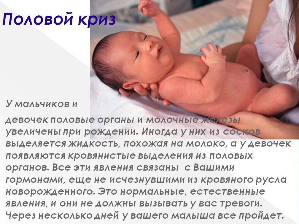 Ritty.ru