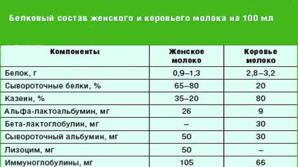 Коровье молоко для грудничка - с какого возраста лучше вводить в питание малыша | малыш здоров!