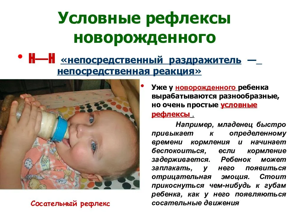 Рефлексы новорожденных и грудных детей: врожденные безусловные и условные / mama66.ru