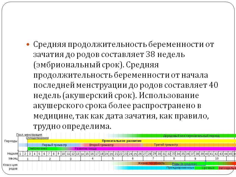 Акушерский период беременности. Акушерский срок и эмбриональный срок. Средняя Продолжительность беременности. Средний срок беременности. Сроки беременности акушерский и эмбриональный.