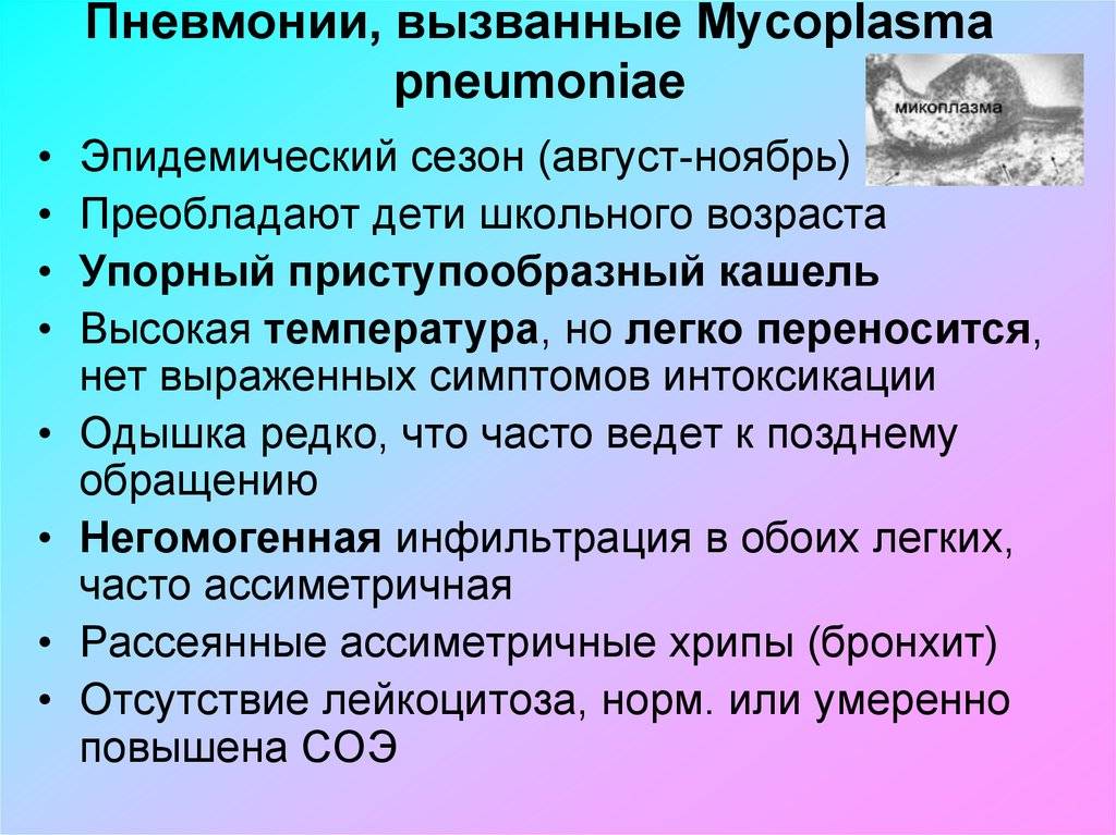 Микоплазменная пневмония у взрослых - симптомы и лечение