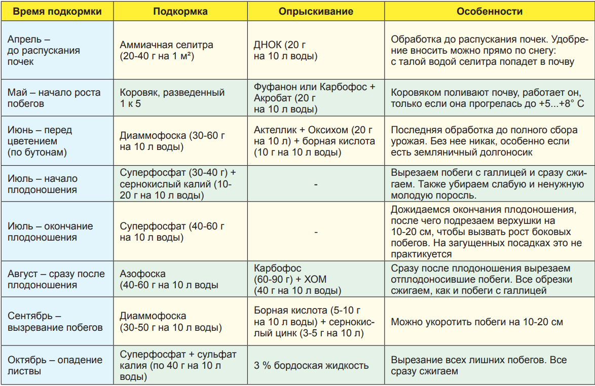 Можно кормящую малину. Схема кормления малины. График подкормки малины удобрениями. Схема внесения удобрений для малины. Схема подкормки удобрениями малины.