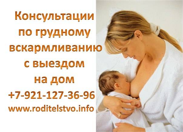 Накладки для грудного вскармливания: как подобрать | s-voi.ru