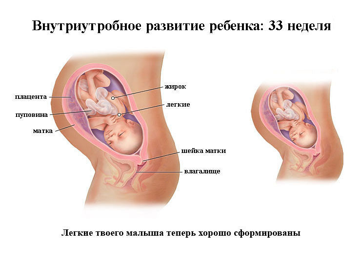 36 неделя беременности: что происходит с малышом и мамой, когда опускается живот