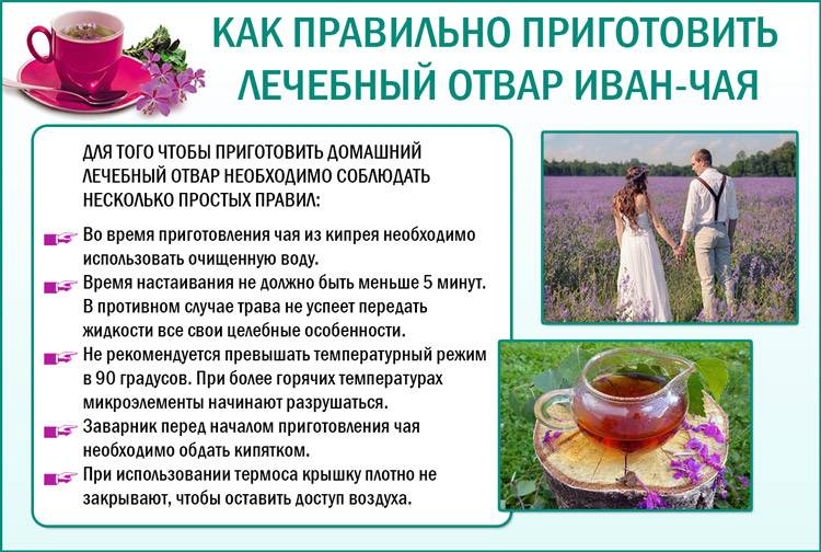 Целебные свойства полезного иван-чая для женщин