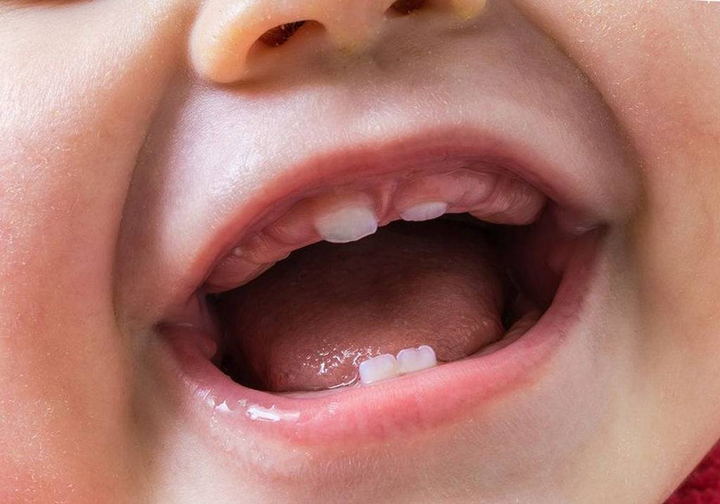 Когда начинают расти зубы у детей? все о прорезывании зубов у малышей | статьи - similac
