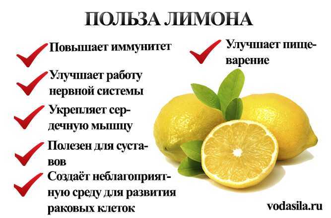 Можно ли кормящей маме лимон? - ✿ «всё для мамы»