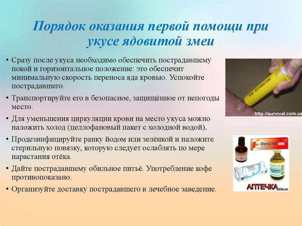 Что делать, если ребенка покусали комары