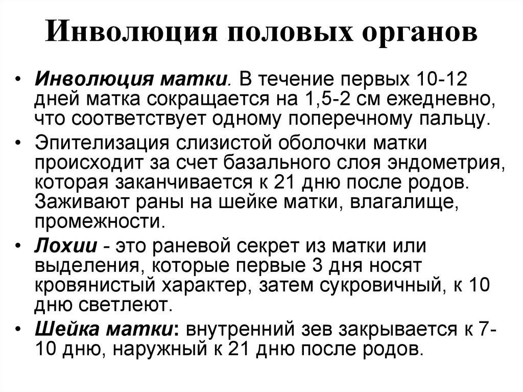 Что такое лактация у женщин, как образуется грудное молоко у кормящей матери