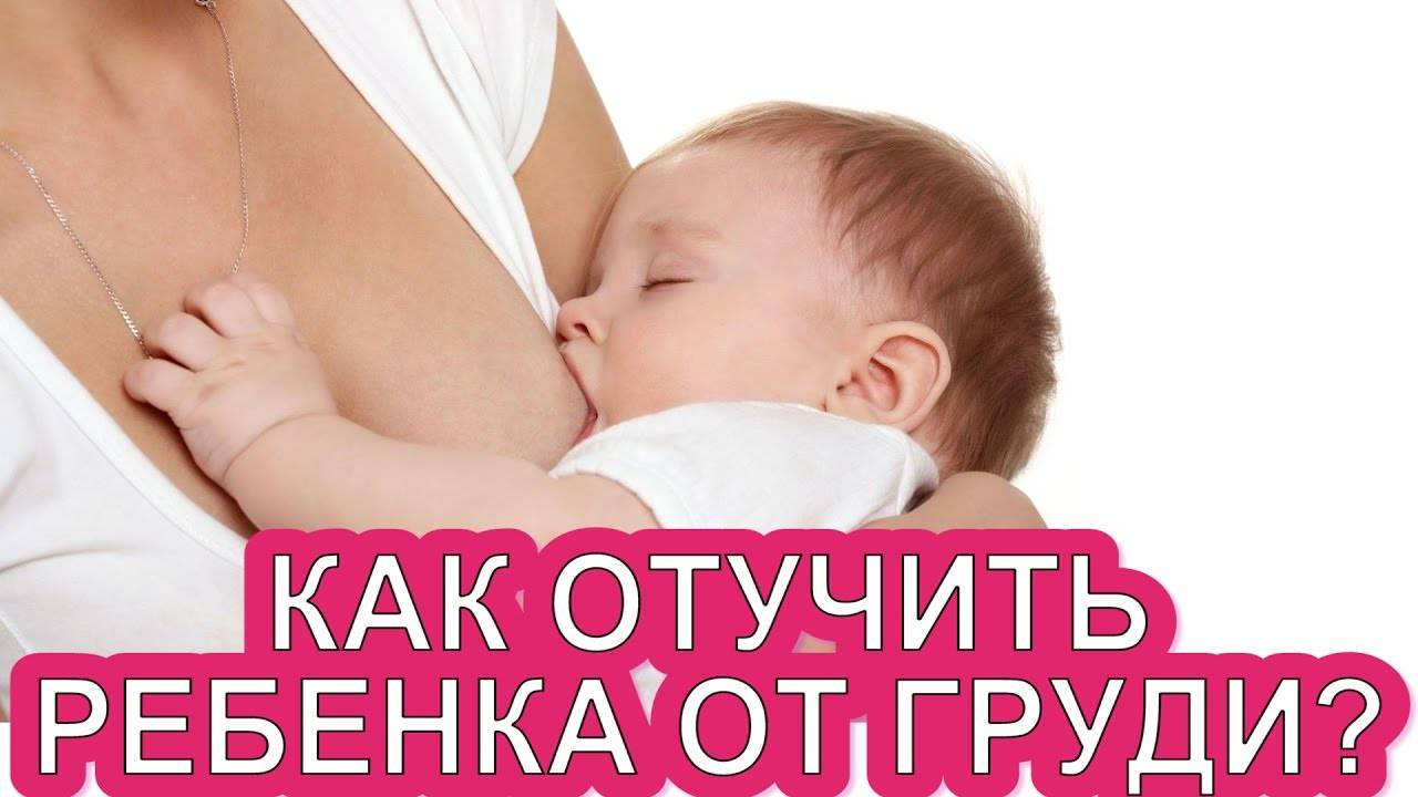 Когда и как отлучать ребенка от груди