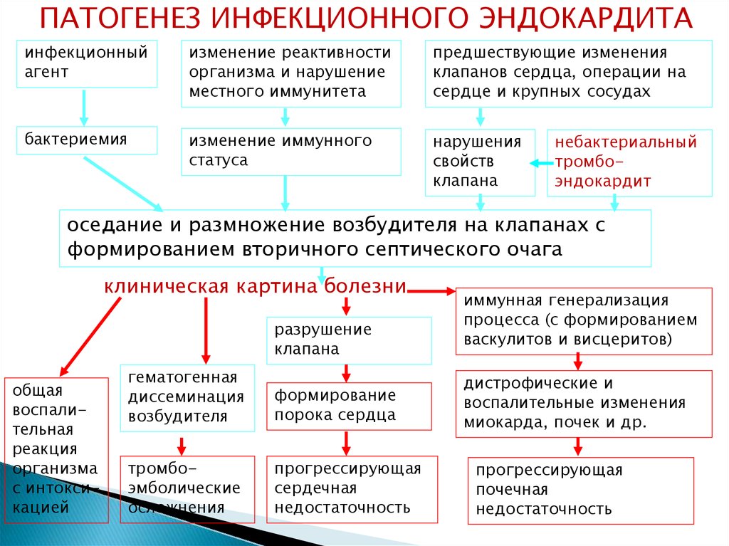 Эндокардит - симптомы, лечение, причины, профилактика