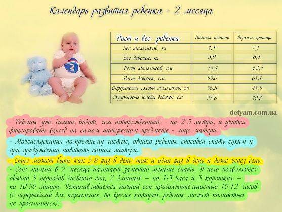 Развитие ребенка в 2 месяца: что умеет, игры, питание, уход