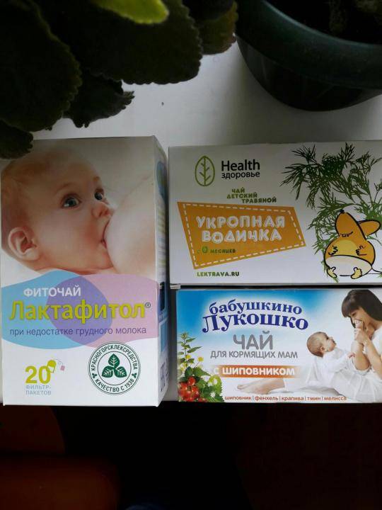 Укропная вода для кормящей мамы - ✿ «всё для мамы»