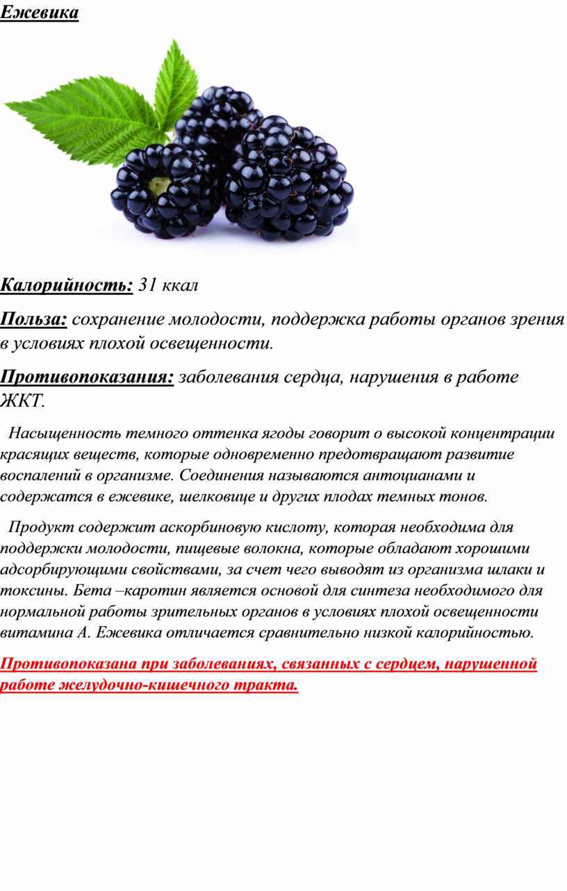 С какого возраста можно давать ежевику ребенку: рекомендации детского питания