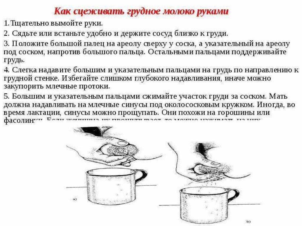 Как сцеживать грудное молоко руками правильно. сколько хранится грудное молоко в холодильнике - medside.ru