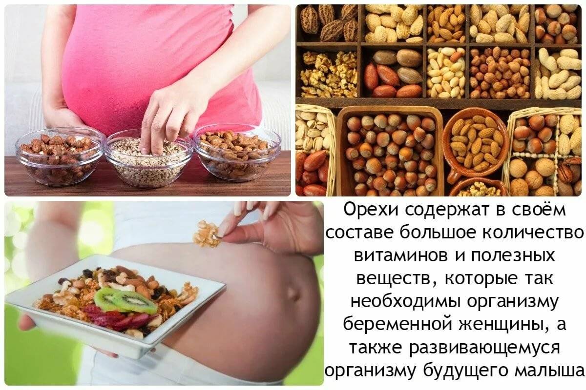 Польза и употребление орехов для беременных – всё об орехах