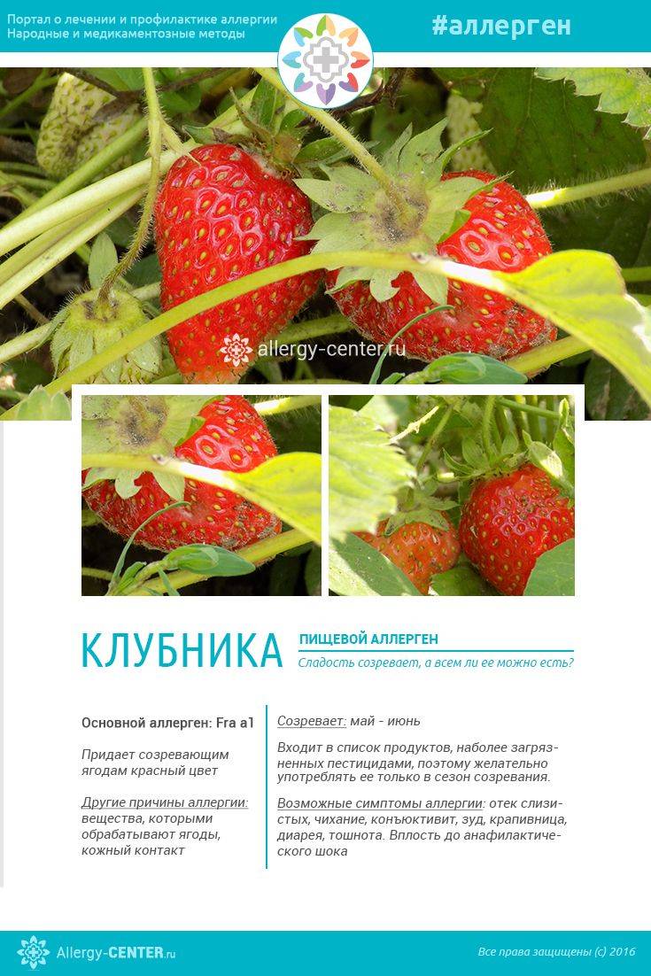 Педиатр: «когда знакомите малыша с ягодами, не давайте ему фрукты» | parents