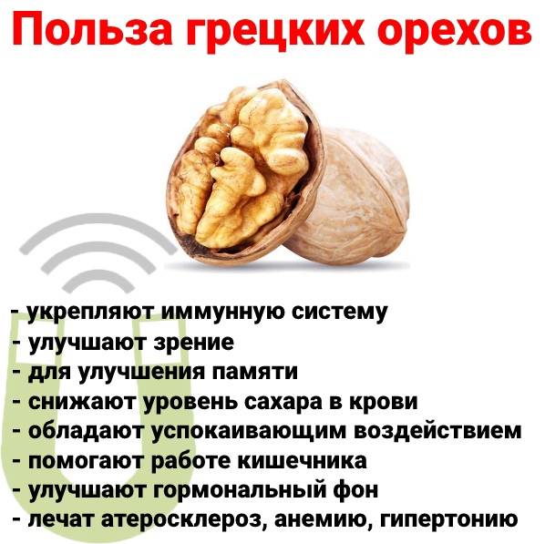 Грецкие орехи при беременности: можно ли, состав, польза, меры предосторожности, в каком виде употреблять, как выбрать
