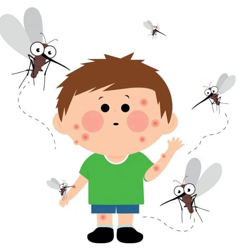 Ребенок боится насекомых: как исправить ситуацию? · всё о беременности, родах, развитии ребенка, а также воспитании и уходе за ним на babyzzz.ru