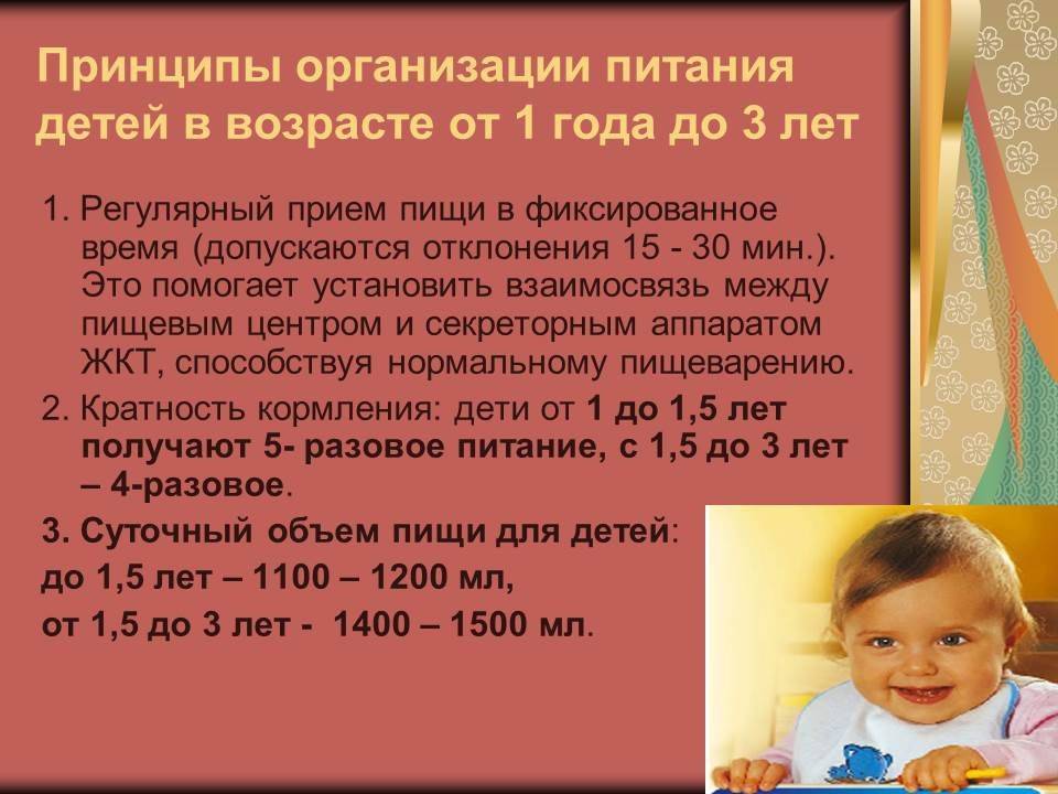 Питание ребенка от 1 до 3 лет | уроки для мам