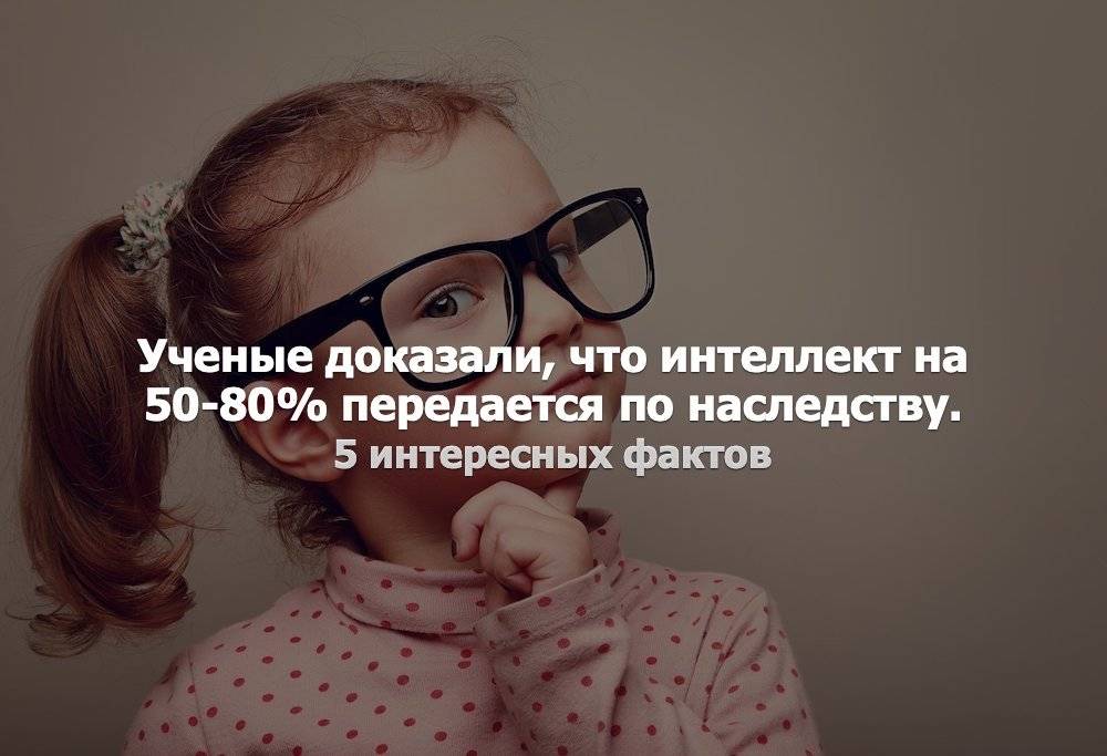 Секреты генетики: от кого передается интеллект ребенку