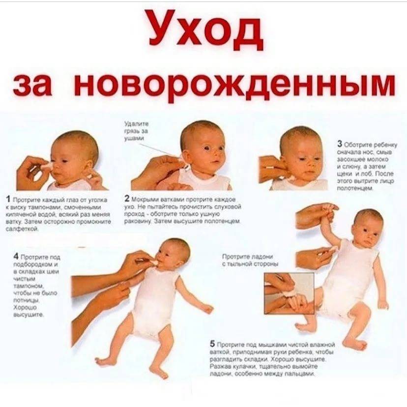 Первые дни жизни новорожденного: 20 полезных советов от педиатра