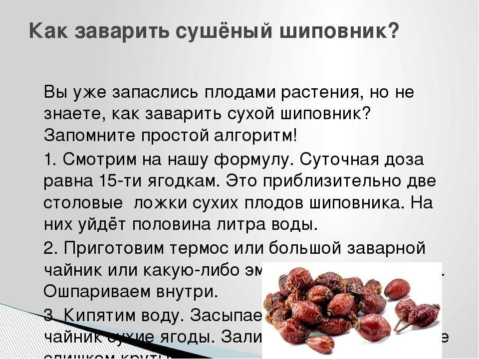 Как правильно заварить шиповник кормящей маме
