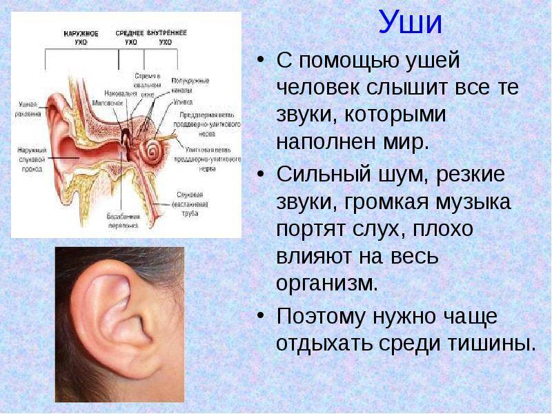 Заложенность уха – не безобидный симптом!