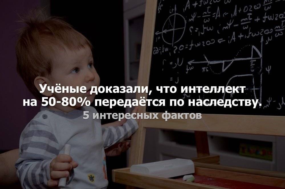 Что формирует интеллект ребенка: гены или воспитание? и как вы можете повлиять на этот процесс - папамамам — миф