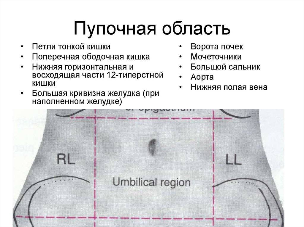 У ребенка болит живот, как узнать – почему?