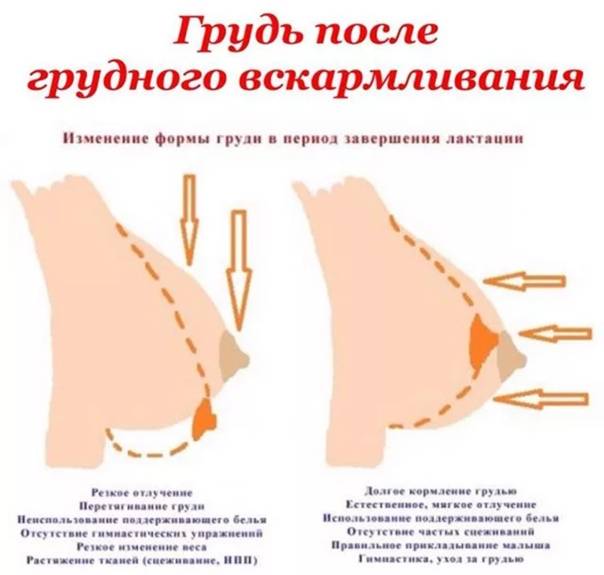 Что делать, если при гв одна грудь становится больше другой