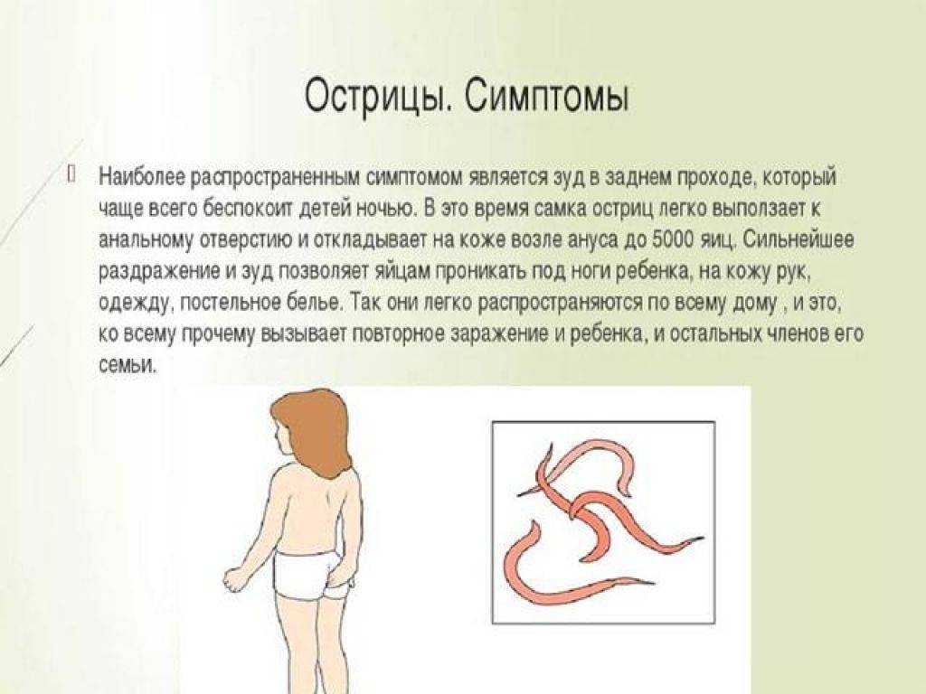 Гельминты у детей – симптомы, диагностика, лечение, народные средства от глистов и меры профилактики.