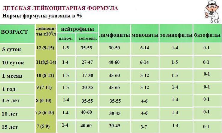 Пониженные лимфоциты у ребёнка: 2 группы причин понижения, норма, подготовка к анализу