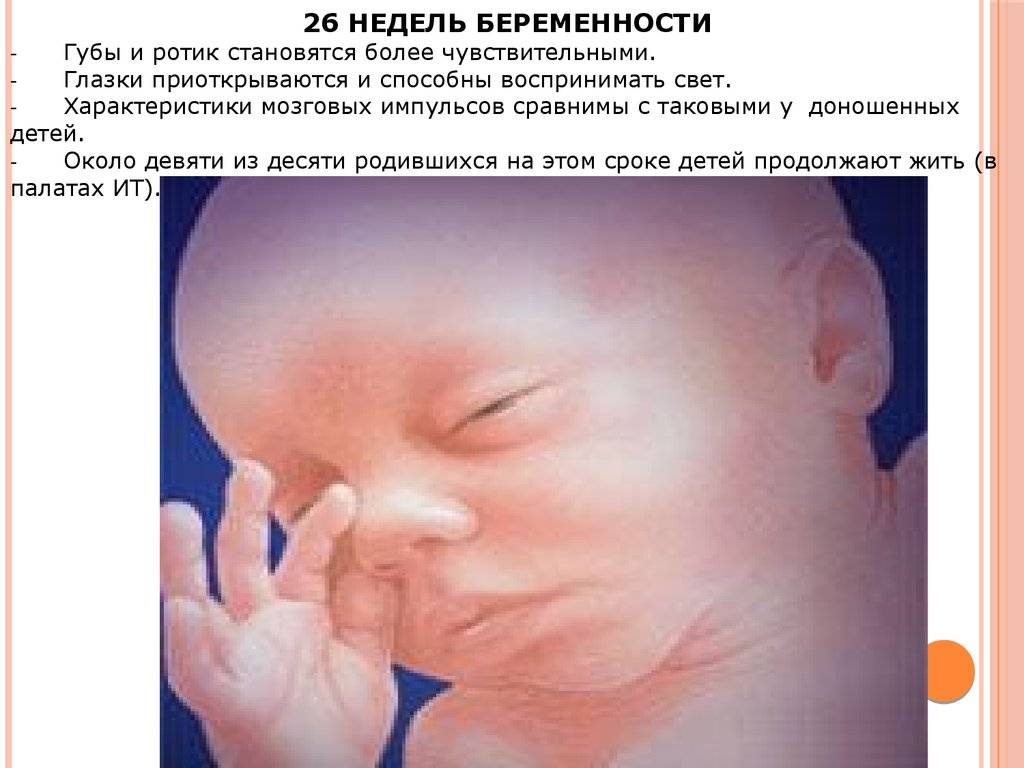 26 неделя беременности - мапапама.ру — сайт для будущих и молодых родителей: беременность и роды, уход и воспитание детей до 3-х лет