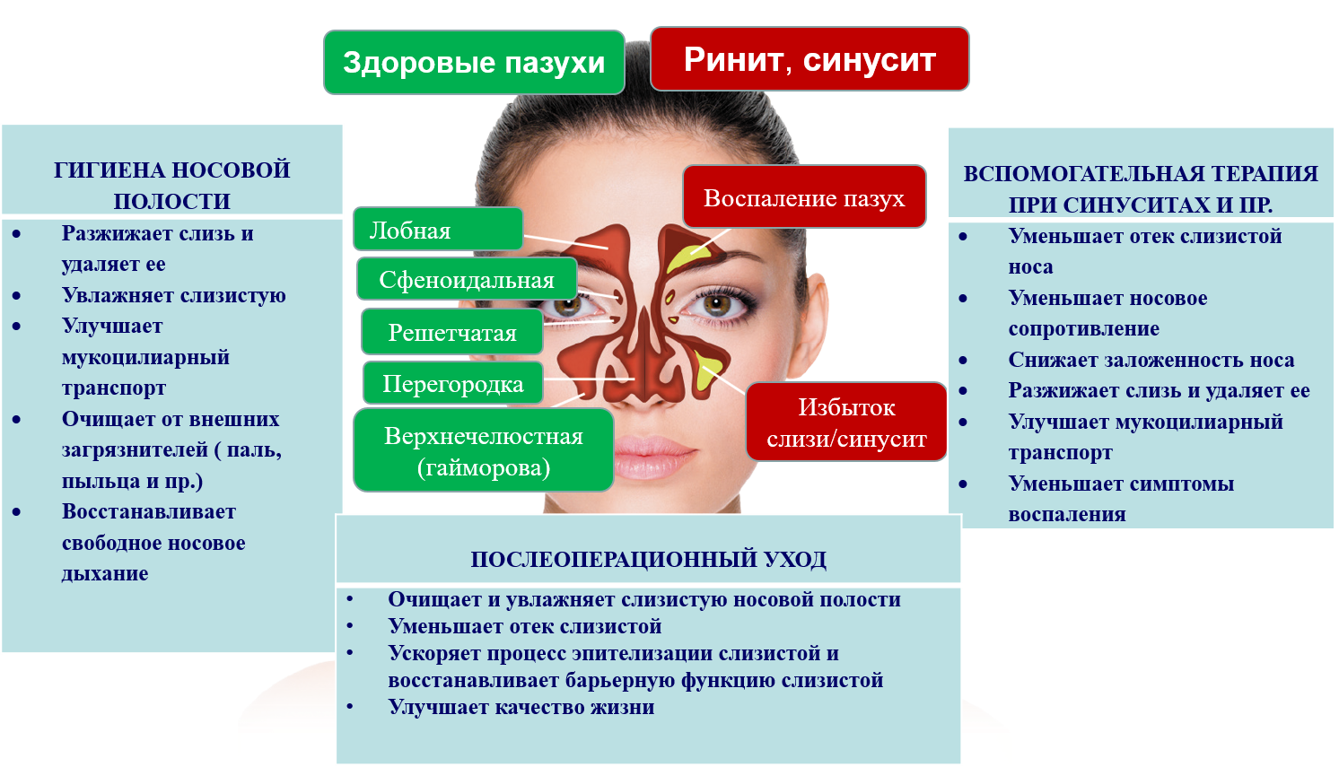 Причины заболевания носа. Острые и хронические насморки и синуситы.
