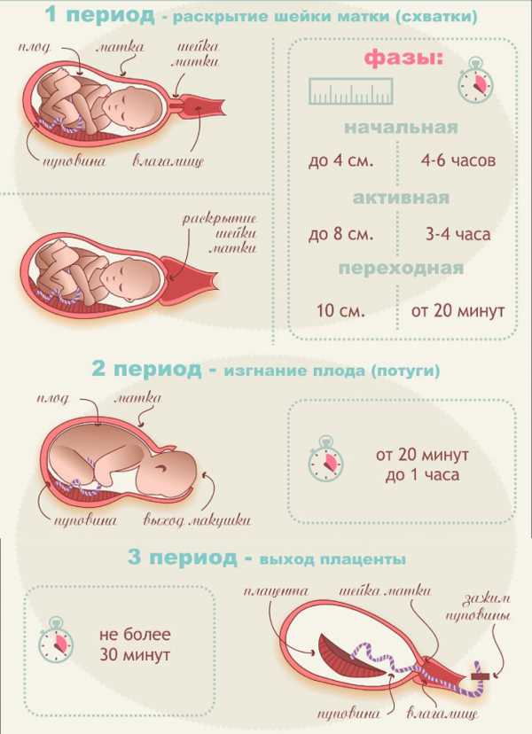 На какой неделе рожают первого ребенка, когда роды происходят на нормальном сроке, сколько длятся? | konstruktor-diety.ru