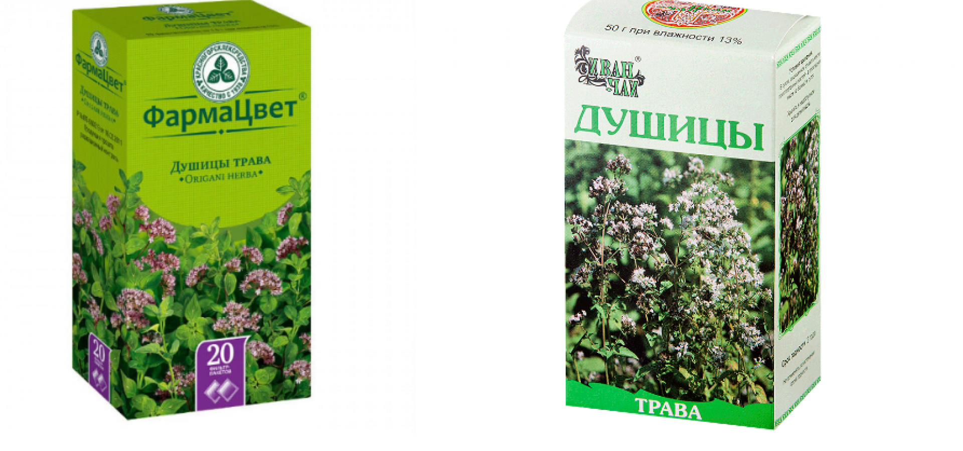 Душица: польза и вред травы | food and health
