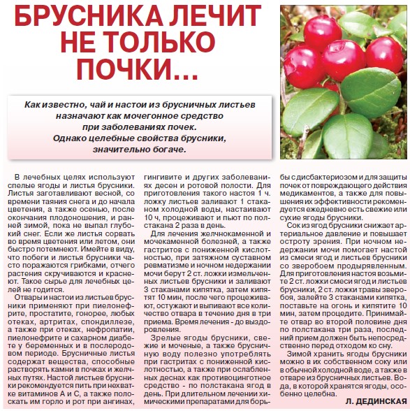 Все о полезных свойствах листьев брусники
