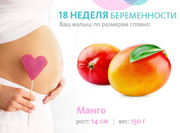 Чего ожидать от 18 недели беременности