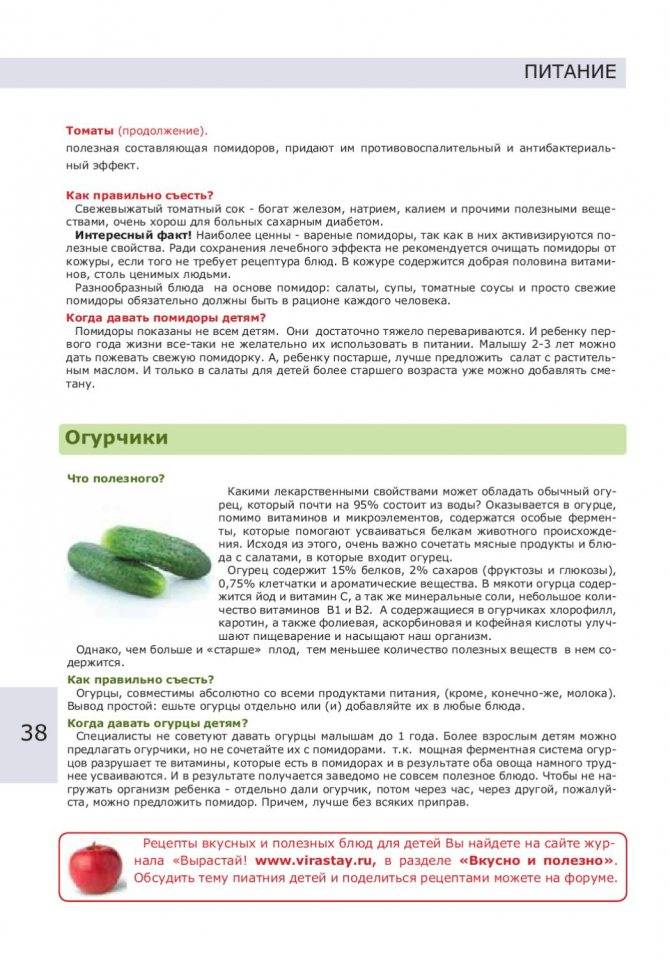 С какого возраста ребенку можно помидоры и в чем польза этих овощей?