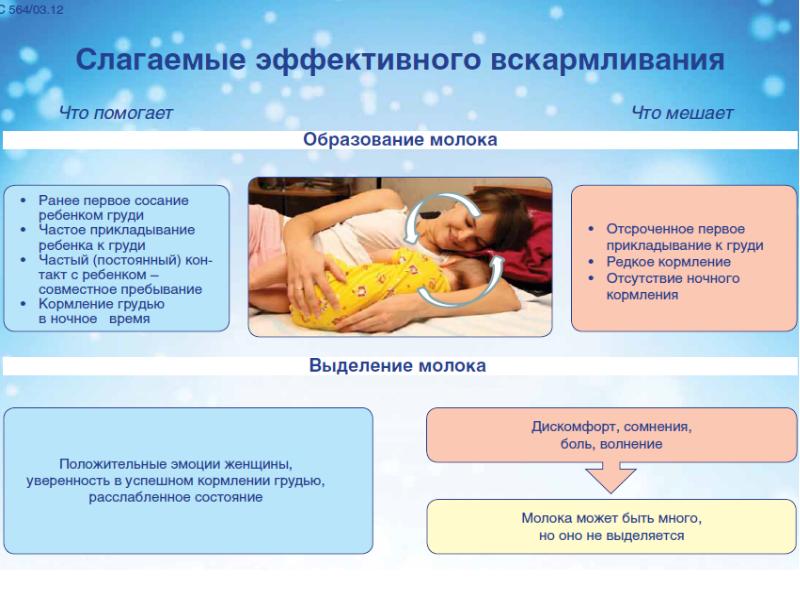 Грудное кормление новорожденных сразу после родов:  практические советы и инструкции