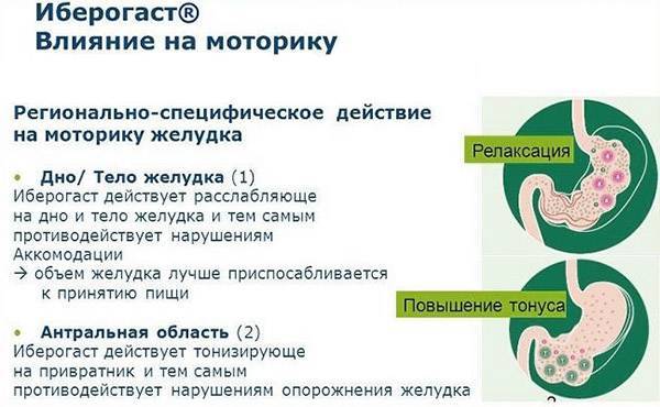 Вздутие живота на ранних сроках беременности: что делать при повышенном газообразовании во время первого, второго и третьего триместров, основные методы лечения