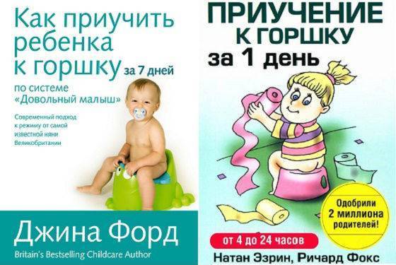 Как приучить ребёнка к горшку в 1 год пошагово, советы психолога, видео (комаровский)