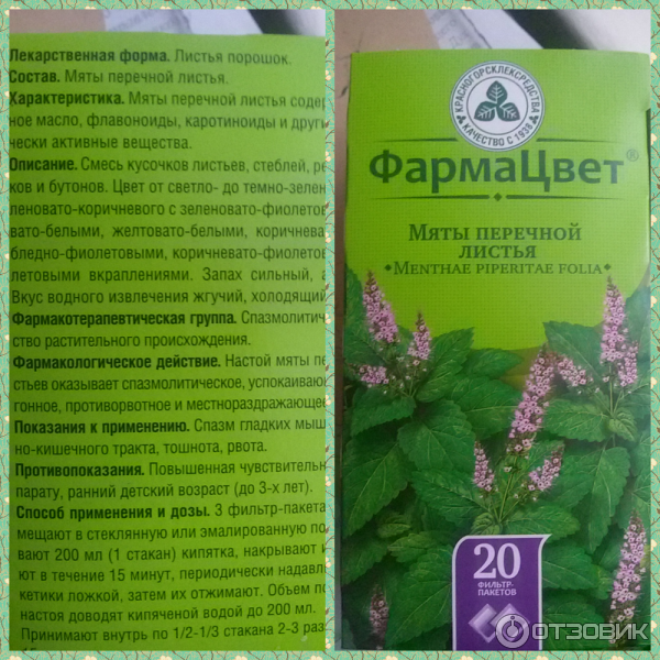 Чай мята сколько в день. Мята перечная ФАРМАЦВЕТ. Чай мяты перечной. Листья мяты перечной. Состав мяты перечной.