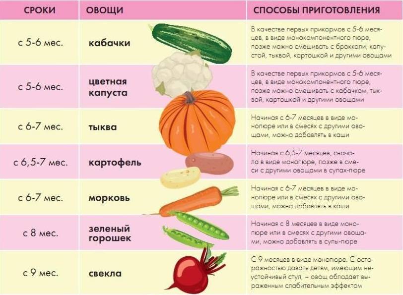 Овощное пюре для прикорма грудничка: рецепты и обзор марок