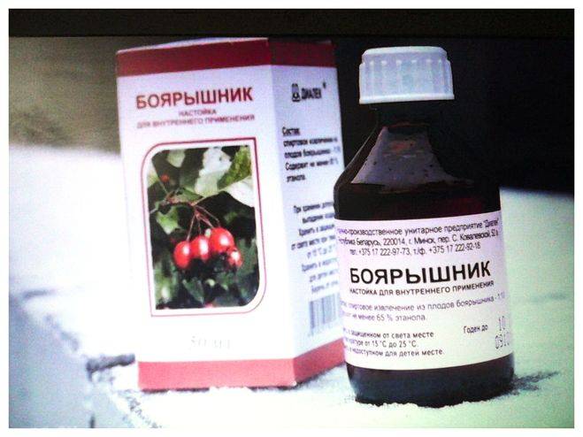 Уникальный боярышник: лечебные свойства для человека и ограничения к применению