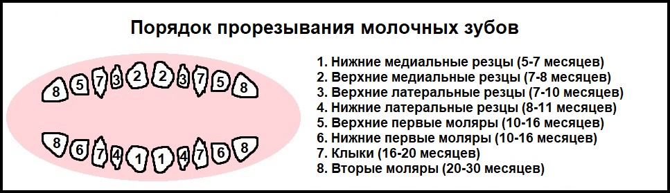Температура при прорезывании зубов у детей до и после года: сколько может держаться