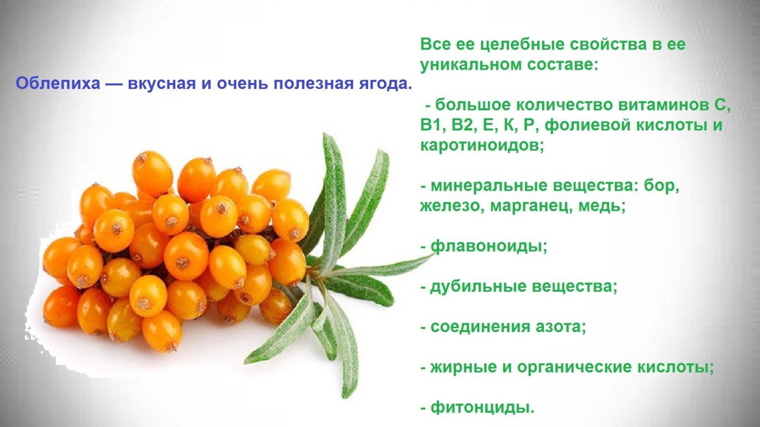 ✅ с какого возраста ребенку можно облепиху - усадьбанатали.рф