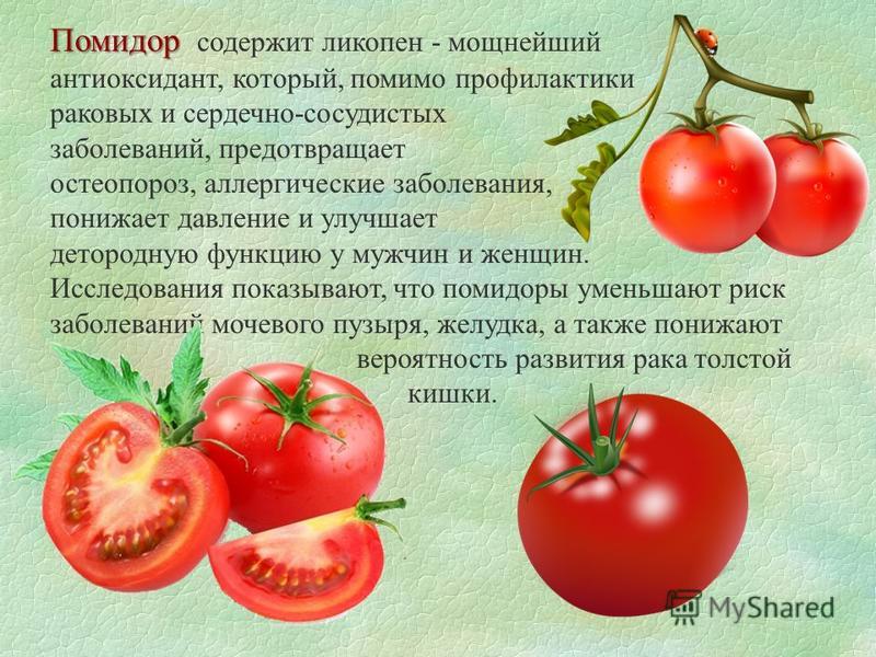 Красный и аллергенный — с какого возраста можно давать ребенку помидоры